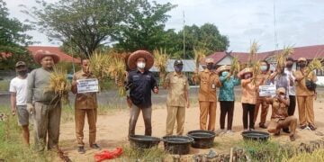 Panen Perdana Food Estate di Pulau Petak Jadi Percontohan