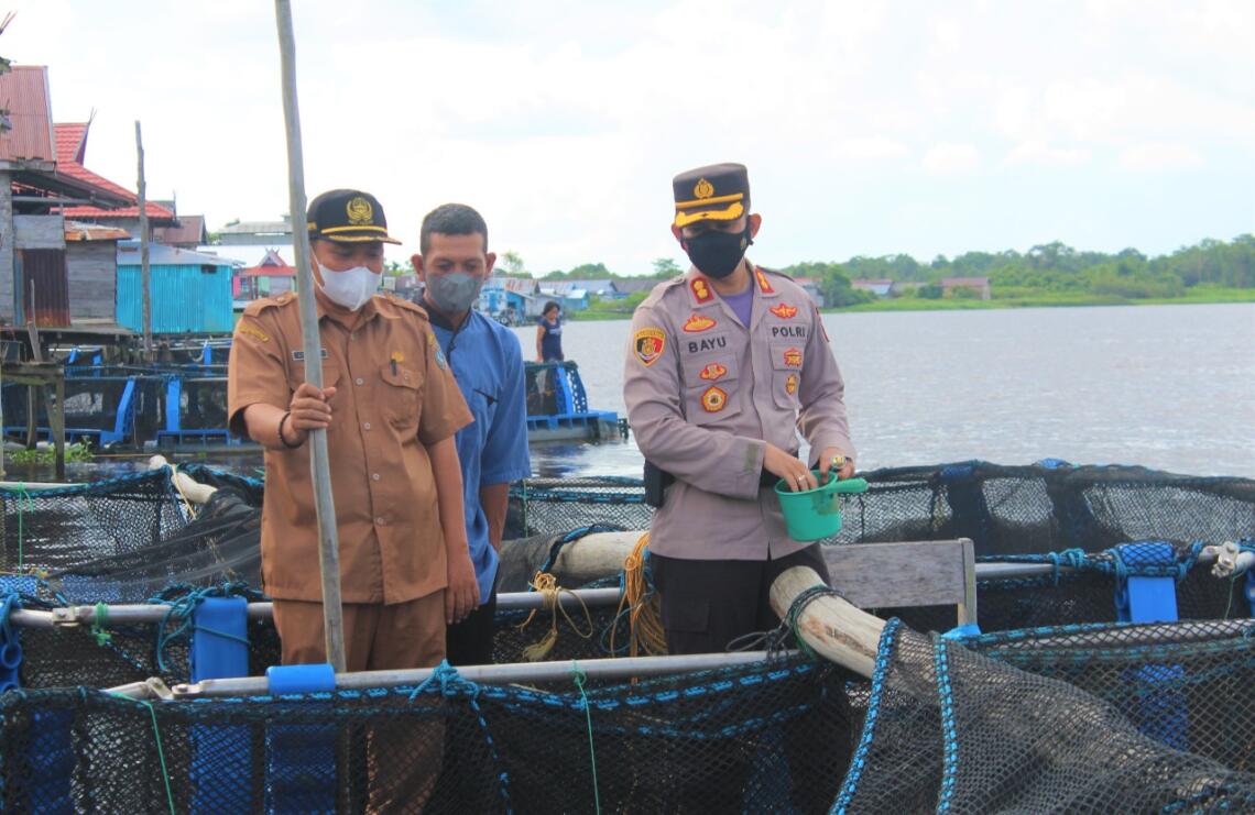 Kapolres Seruyan AKBP Bayu Wicaksono, S.H.,S.I.K.,M.Si. didampingi Kepala Desa Pematang Limau Syahroni dan Ketua BPD Fuad turun langsung mengecek Ketahanan Pangan  perikanan berupa keramba apung yang ada di Daerah Aliran Sungai (DAS) Seruyan, Desa Pematang Limau, Kecamatan Seruyan Hilir, Kabupaten Seruyan, Selasa (03/08/2021). Foto : Tbn