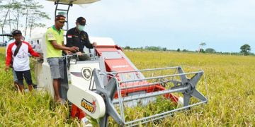 Sekda Kalteng Wakili Gubernur Panen Raya Menggunakan Mesin Combine Harvester