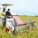 Sekda Kalteng Wakili Gubernur Panen Raya Menggunakan Mesin Combine Harvester