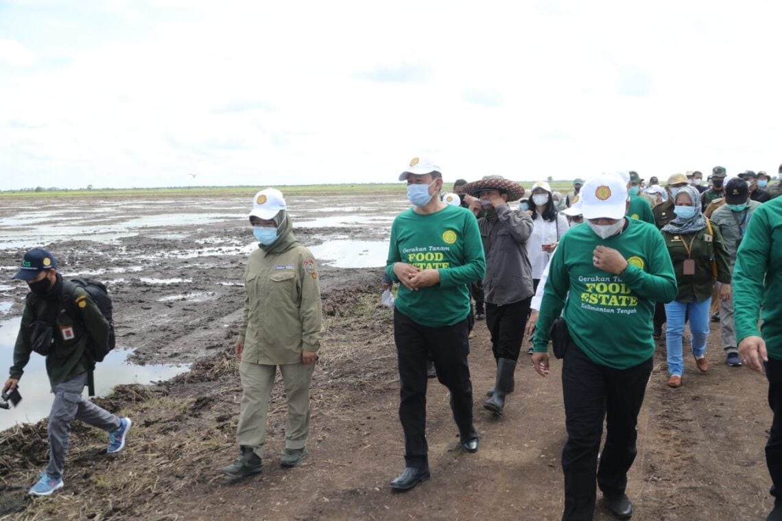 Sekretaris Jenderal Kementerian Pertanian (Kementan) Momon Rusmono, meninjau gerakan percepatan tanam padi di lokasi Food Estate Kalimantan Tengah, Selasa (4/5/2021). Foto : Ist