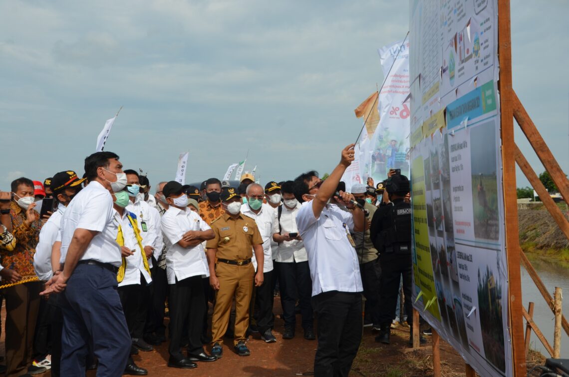 Menteri Koordinator Bidang Kemaritiman dan Investasi (Menko Marves), Luhut Binsar, Pandjaitan, Menteri Pertanian, Meteri PUPR dan Kepala KSP meninjau kawasan food estate di blok A5 Desa Bentuk Jaya Kecamatan Dadahup, Kabupaten Kapuas, Provinsi Kalimantan Tengah (Kalteng), Selasa (6/4/2021). Foto : Ist