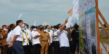 Menko Luhut Dorong Kolaborasi di Food Estate Libatkan Kementan, PUPR dan Peneliti