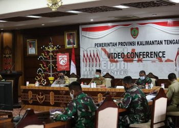 Presiden Jokowi Dijadualkan 8 Oktober Tanam Padi di Food Estate