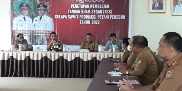 Disbun Prov. Kalteng Tetapkan Harga TBS Periode Bulan Mei 2022