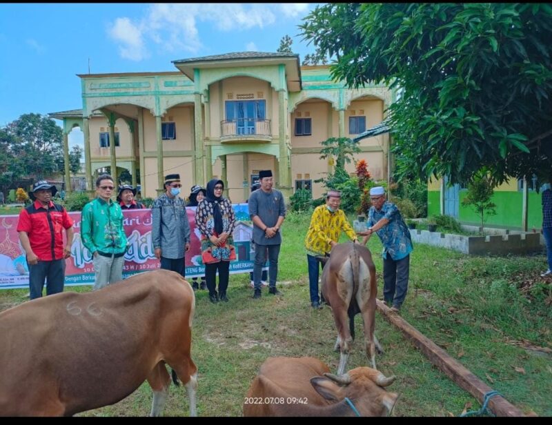 Penyerahan bantuan hewan kurban sapi di halaman pondok pesantren (ponpes) Babussalam Kapuas, Jumat (8/7/2022).