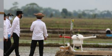 Presiden Jokowi Tinjau Percontohan Kawasan Food Estate Kalteng