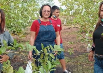 Ingin Wisata Sembari Memetik Buah dan Sayuran Segar di Kota Palangka Raya, ini Tempatnya