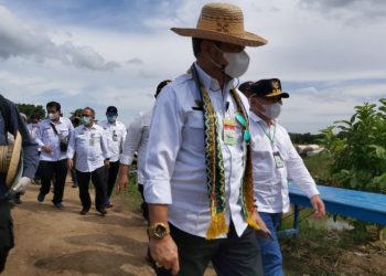 Mentan RI Kunjungan Kerja ke Kawasan Food Estate