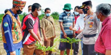 Kapolres Seruyan dan Poktan Desa Bangkal Panen Jeruk dan Porang