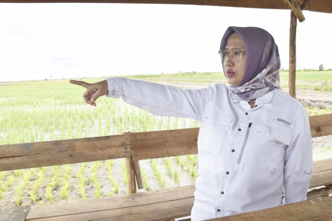 Kepala Dinas TPHP Prov. Kalteng Hj. Sunarti