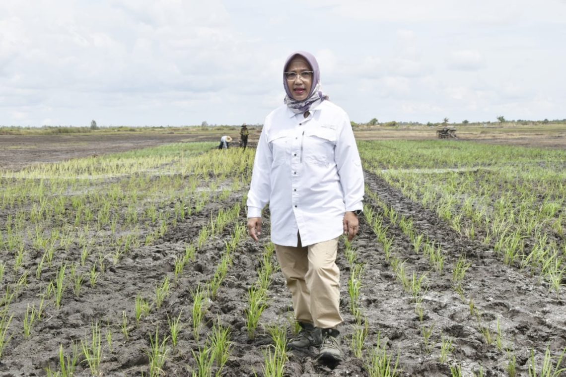 Kepala Dinas TPHP Prov. Kalteng Hj. Sunarti