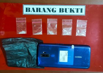 Lagi, Gara-gara Sabu Pemuda Paruh Baya Dibekuk Polisi