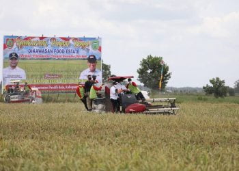 Gubernur H. Sugianto Sabran Meminta Seluruh Elemen Masyarakat Mendukung Food Estate