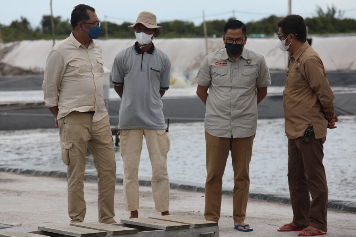 Harus Ada Regulasi Tata Kelola Budidaya dalam Pengembangan Shrimp Estate, Sabtu (11/12/2021). Foto : mmc