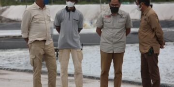 Harus Ada Regulasi Tata Kelola Budidaya dalam Pengembangan Shrimp Estate