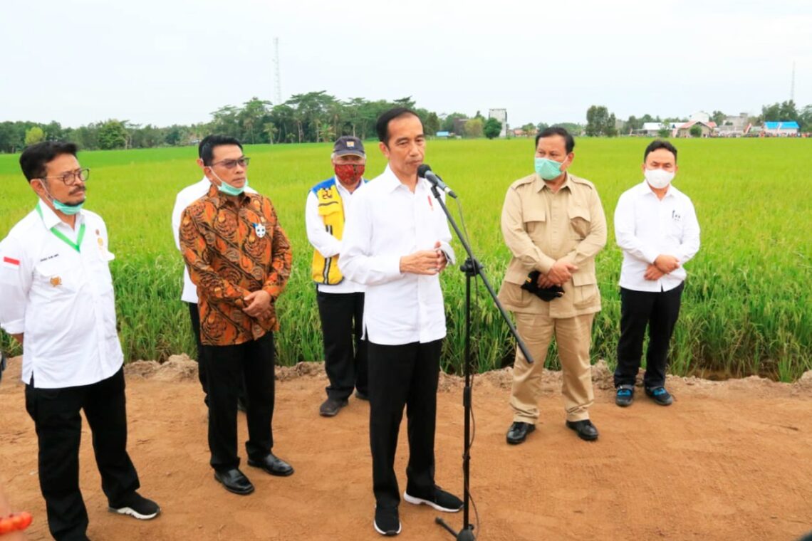 Presiden Jokowi saat meninjau lokasi food estate di Kabupaten Kapuas beberapa waktu lalu