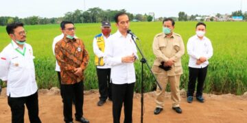 Gubernur Kalteng H. Sugianto Sabran: PSN Food Estate Wujudkan Kedaulatan Pangan Nasional
