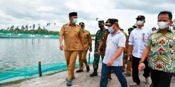 Pembangunan Kawasan Tambak Udang Vaname Untuk  Pulihkan Perekonomian