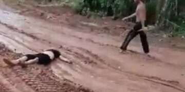 Ribuan Lebah Tanah Sengat Sopir Travel Hingga Tewas