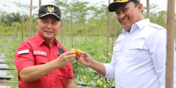 Sugianto Kunjungi Lokasi Pertanian di Desa Garung Kecamatan Jabiren Raya Pulpis