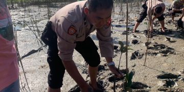 Cegah Bencana Alam, Bersama TNI-Polri Tanaman Mangrove