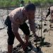 Cegah Bencana Alam, Bersama TNI-Polri Tanaman Mangrove