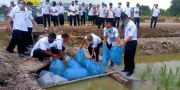 Wabup Lamandau Lounching Program Minapadi