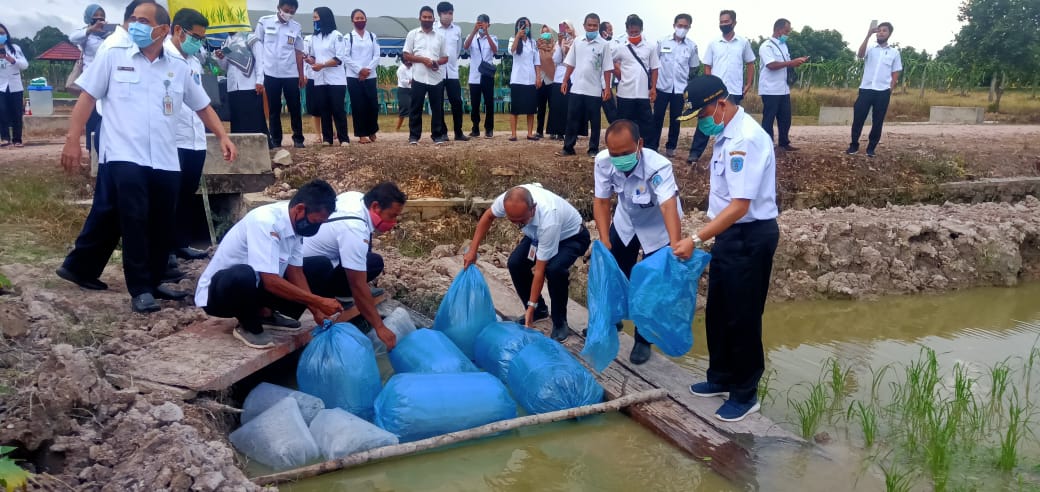 Wakil Bupati Lamandau, Riko Porwanto secara resmi melounching program inovasi di bidang pertanian dan perikanan, dengan dihadiri sejumlah kepala OPD di balai benih Distakan Lamandau, Rabu (14/10/2020). Foto : By