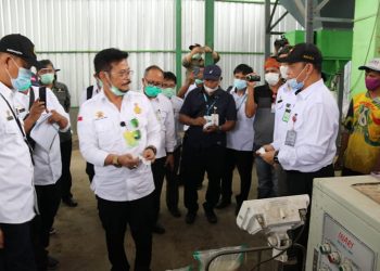 Menteri Pertanian: Presiden Harapkan Food Estate Jadi Percontohan Nasional
