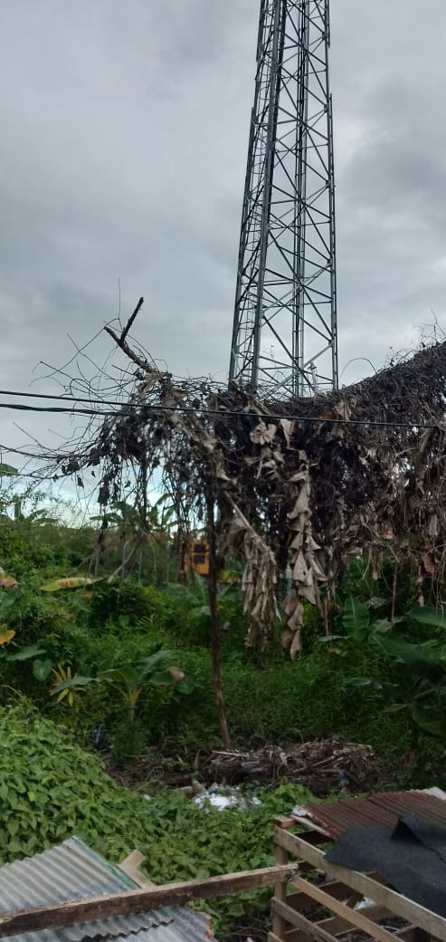 Kondisi Tower BTS di Ujung Murung Kelurahan Selat Hilir Kecamatan Selat, Kapuas, terlihat tidak terawat dan tidak ramah lingkungan. Foto : Lg