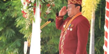 Wagub Edy Pratowo Minta Seluruh Masyarakat Berpartisipasi Wujudkan Kalteng Bebas Kabut Asap