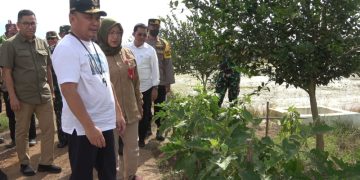Pastikan Program Food Estate Lancar, Gubernur Tinjau dan Menginap di Lokasi