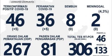 Positif Covid-19 di Kalteng 46 Orang, Zona Merah 9 Daerah