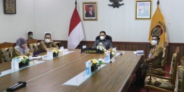 Bahas Distribusi Migor Curah, Wagub Ikuti Rakor Bersama Menko Perekonomian