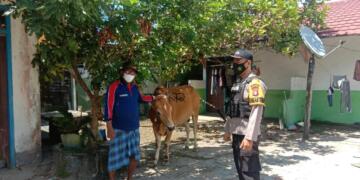 Polsek Danau Sembuluh Himbau Panitia Door To Door Bagikan Daging Kurban