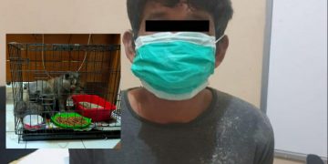 Gara-gara Kucing Anggora, Ivan Diancam 7 Tahun Penjara
