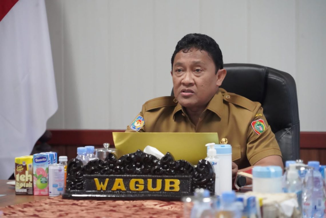 Wakil Gubernur Kalimantan Tengah H. Edy Pratowo saat menyampaikan paparannya, Senin (20/3/2023). Foto : Ist