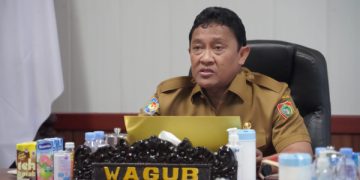 Hadiri Rakor Mitigasi Bencana Musim Kemarau 2023, Wagub Edy Pratowo Sampaikan Langkah Antisipatif Kalteng