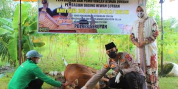 Polres Seruyan Melaksanakan Qurban 7 Ekor Sapi dan 4 Ekor Kambing
