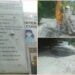 Proyek Preservasi Jalan Kalahien-Buntok-Ampah Ditanami Pisang