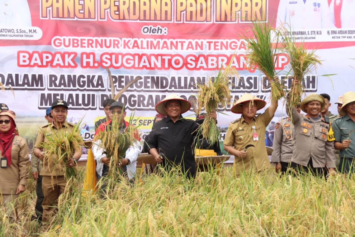 Wagub Kalteng H. Edy Pratowo panen perdana padi inbrida di Desa Damparan, Kecamatan Dusun Hilir, Kabupaten Barsel, Selasa (12/09/2023). Foto : ist/mmc