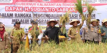 Panen Perdana Padi Inbrida di Desa Damparan Kabupaten Barsel