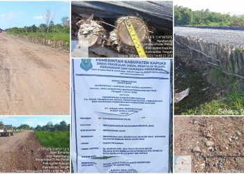 Proyek Dinas PUPR-PKP Kapuas Senilai Rp28,89 Miliar Jadi Sorotan