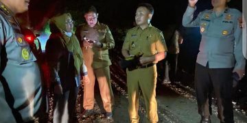Gubernur dan Wagub Kunjungi Lokasi Karhutla di Desa Taruna Pulang Pisau