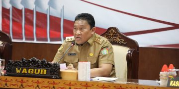 Wagub Edy Pratowo Ikuti Rakorsus Peningkatan Upaya Penanggulangan Karhutla