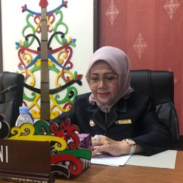 Anggota DPRD Kota Palangka Raya Norhaini