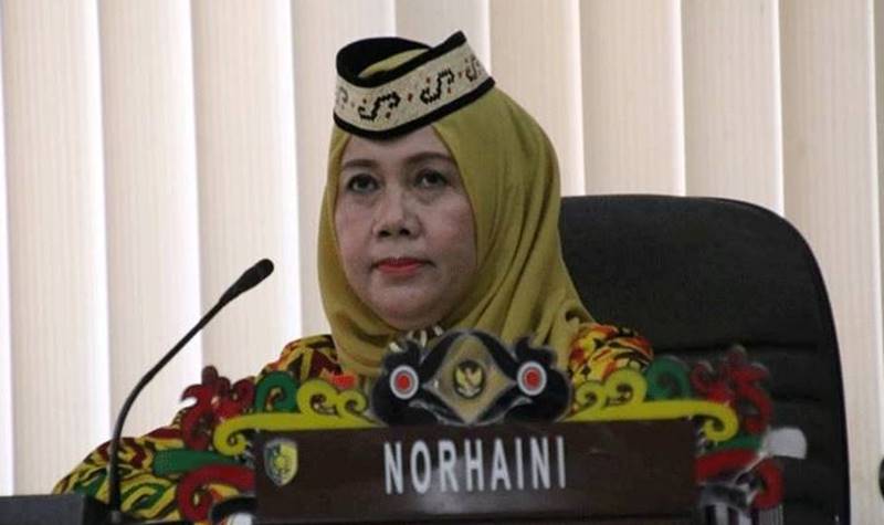 Anggota Komisi C DPRD Palangka Raya, Norhaini