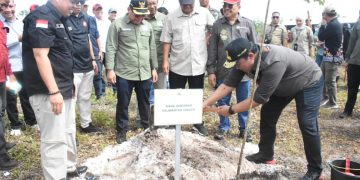 Wagub dan Sekda Kalteng Dampingi Wamen LHK RI Tanam Pohon di Pulang Pisau