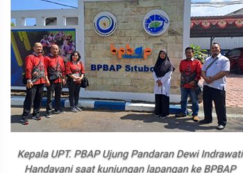 Udang Vaname  Komoditas Unggulan Sedang Dikembangkan di Kalteng